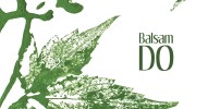 Balfolkowa potańcówka i warsztaty z zespołem BALSAM